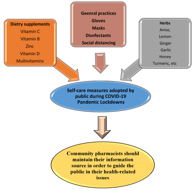 Graphical Abstract